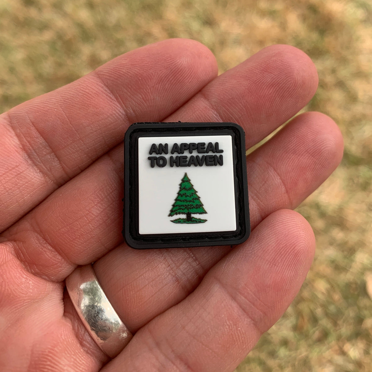 Appeal to Heaven Mini Patch - 1"