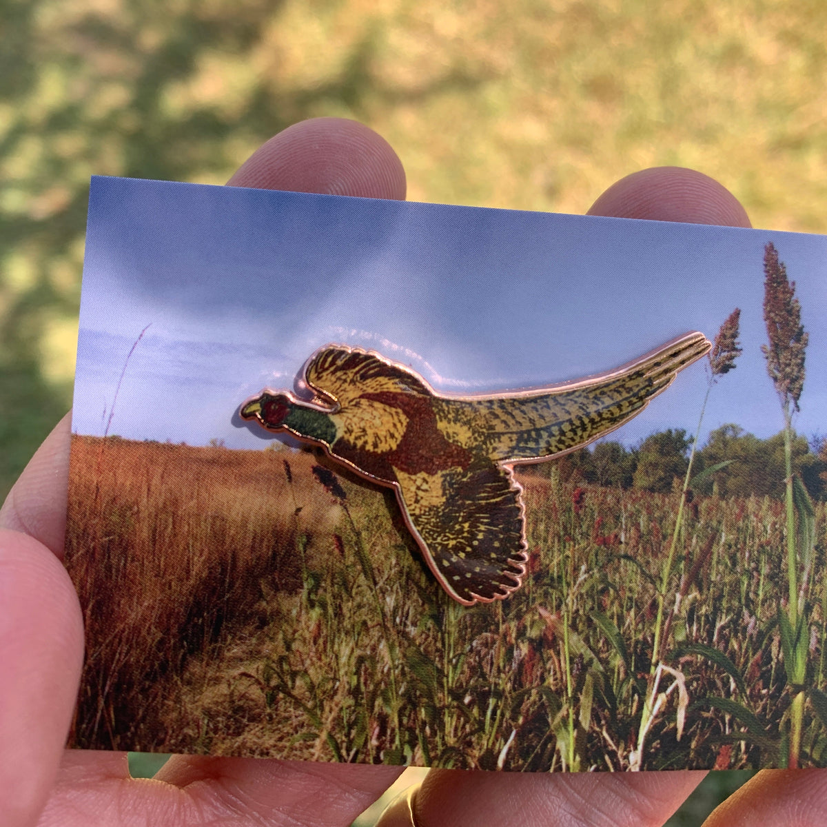 Pheasant Nationalism Pin - 1.25"